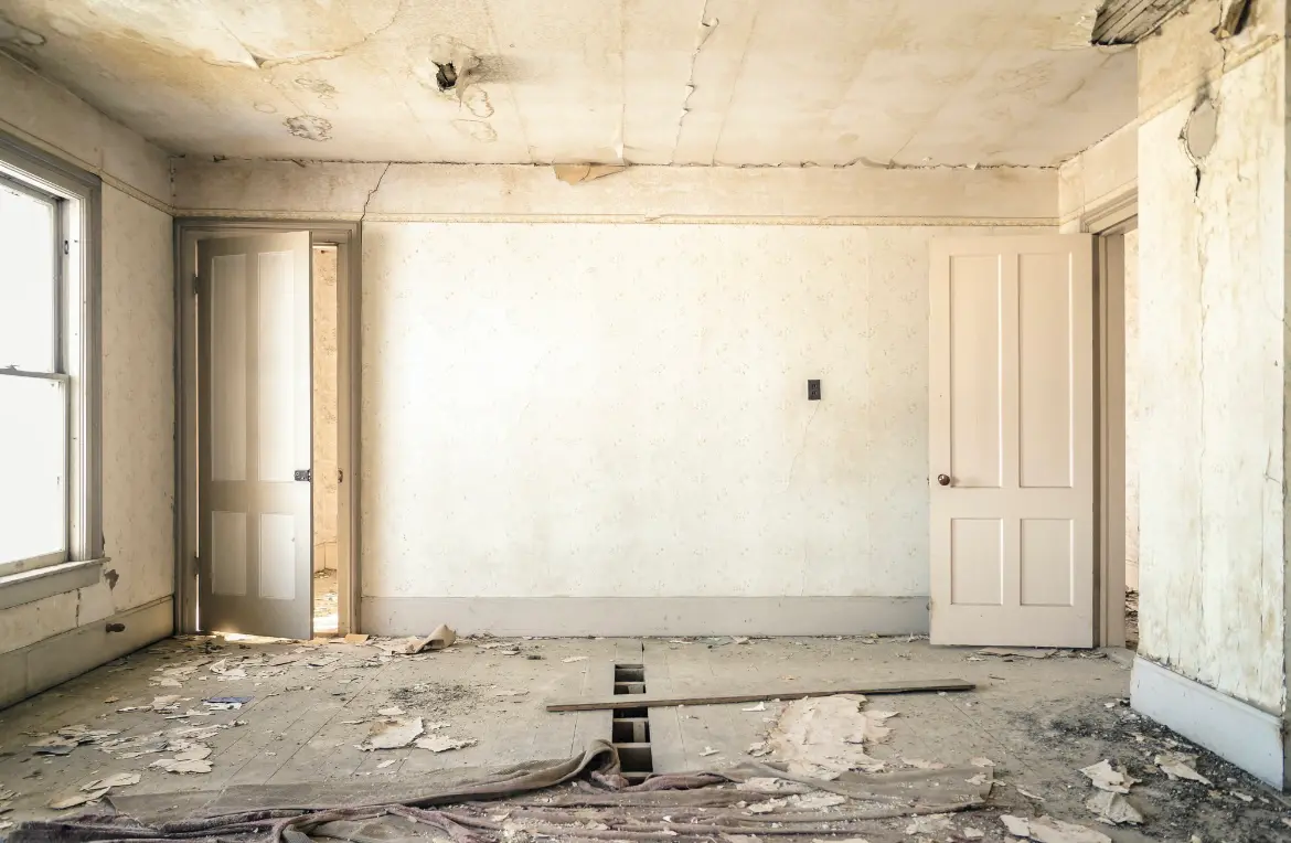 Waste disposal crew managing a cleanout project in Pearland